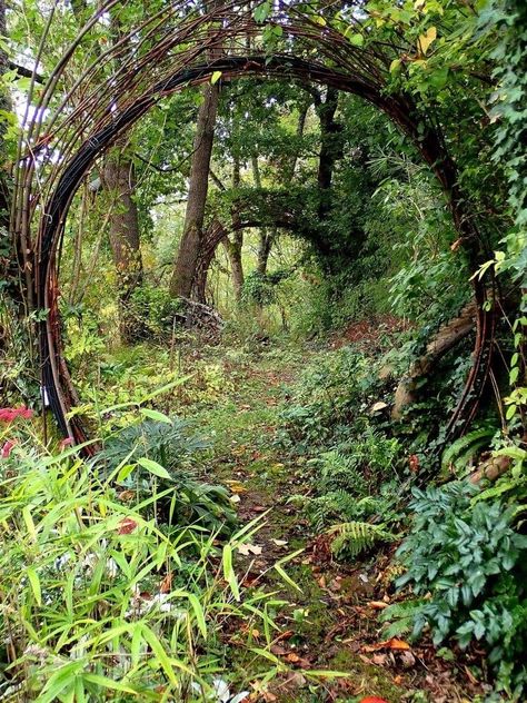 Enchanted Forest Yard Ideas, Secret Garden In The Woods, Garden In Forest, Woodland Garden Ideas, Witchy Backyard, Celtic Garden, Hobbit Garden, Have Inspiration, Forest Garden