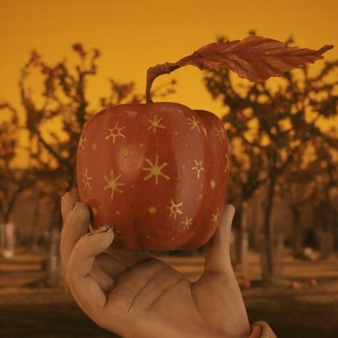 Fantastic Mr Fox Aesthetic icon Mr Fantastic Fox Aesthetic, Fantastic Mr Fox Pumpkin, Mr Fox Aesthetic, Fantastic Mr Fox Thanksgiving, Mr Fantastic Fox Pfp, Wes Anderson Icons, Kylie Fantastic Mr Fox Pfp, Mr Fantastic Fox Wallpaper, Fantastic Mr Fox Apple Tattoo