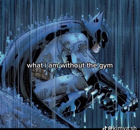 Im Vengeance, I'm Vengeance I'm The Night I'm Batman, Im Batman Funny, Im Literally Batman, Batman Meme, Batman Memes, Batman Quotes, Gym Wallpaper, Batman Memes Hilarious