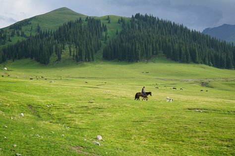 Grassland Distant Hills Horseback - Free photo on Pixabay Trail Riding Horses, Horse Riding Quotes, Mountain Horse, Horseback Riding Outfits, Horse Riding Tips, Mountain Background, Horse Trail, Scenery Photography, Studio Ghibli Art