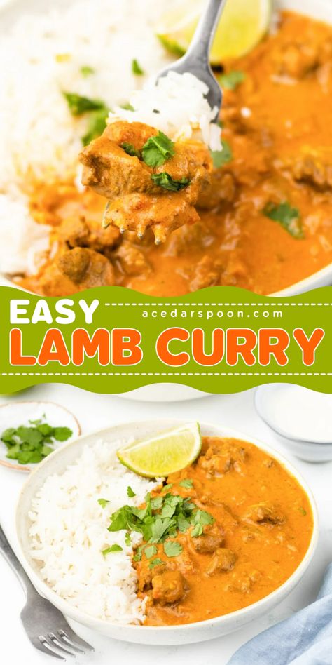 This Easy Lamb Curry Recipe is a flavorful dish mixing lamb in a rich, spiced sauce and a combination of onion, garlic, ginger, and various spices like turmeric, cumin, coriander, and garam masala. This dish simmers until the lamb is tender. This dish is typically served with rice and naan bread. Curried Lamb Recipes, Ground Lamb Curry Recipes, Lamb Curry Recipes Indian, Beef Masala, Slow Cooker Beef Curry, Lamb Curry Recipes, Pork Salad, Easy Curry, Lamb Curry