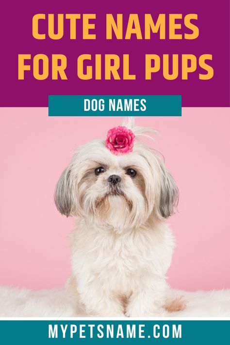 Girly Dog Names, Good Girl Dog Names, Names That Mean Princess, Girl Puppy Names Unique, Girl Pet Names, Puppy Names Unique, Girl Dog Names Unique, Small Dog Names, Cute Dog Names