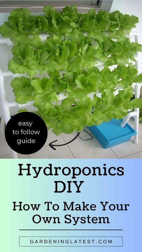 Ready to grow fresh produce all year long? Hydroponics DIY projects can help you build your own efficient and sustainable garden. By understanding water-based growing systems, nutrient solutions, and grow lights, you can achieve a thriving indoor garden without soil. Learn how to set up a hydroponic system using simple materials, create the perfect environment for your plants, and maintain optimal pH levels. Dive into our comprehensive guide on hydroponics DIY and start growing your own fresh vegetables and herbs at home today! Diy Hydroponic Garden Indoor Pvc, Hydroponic Orchid Plants, Diy Vertical Hydroponic Garden, Pvc Hydroponics Diy, Diy Hydroponics System Indoor, Pvc Garden Projects, Diy Hydroponic Garden Indoor, Hydroponics Diy Indoor, Diy Hydroponics System