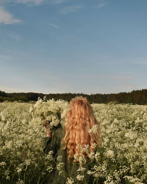 Ellen Tyn on Instagram: “The Honey Ocean.☘ #vsco #vsconature #vscocam #liveauthentic #liveadventure #livefolk #folk #meadow #quietinthewild #wild #cottagecore…” Ellen Core Aesthetic, Ellen Tyn, Vsco Nature, Witch Books, Live Beautifully, Senior Photoshoot, Witch Aesthetic, + Core + Aesthetic, Summer Solstice