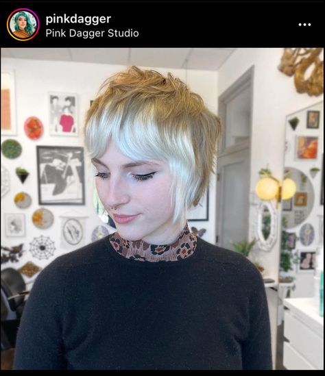 Pixie Growout, Shaggy Pixie Bob, Short Shaggy Pixie Haircuts, Stacked Bob Haircuts, Haircut Parts, Side Part Bob, Shaggy Pixie, Pixie Bob Hairstyles, Asymmetrical Bob Haircuts