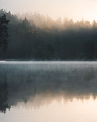 Misty Dawn, Lake Photography, Landscape Portrait, Misty Morning, Forest Painting, Art Walk, Batman Art, Ap Art, Freelance Photographer