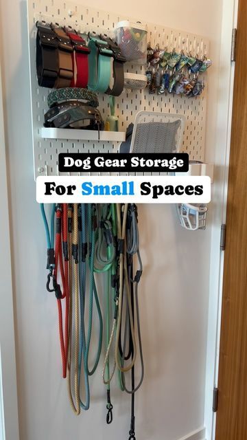 Odin & Christine | city living with a sensitive heeler mix on Instagram: "How we store our dog’s gear in our apartment.   Using this space behind the front door makes it easily accessible and uses wall space that would have otherwise been left empty. I like being able to see my gear, because it reminds me what I already have, so I don’t get over excited and try to add more. 🙃  But at $87… was this “worth it”?  No use in denying many of these storage solutions aren’t cheap. Plus, it really matches the aesthetic of the rest of the apartment.   What do you think? How do you store your gear?   Follow @cityheeler for more city dog content ✨  .  #citylife #apartmentliving #citydog #dogmom #smallspaces #organization" Service Dog Gear Organization, Dog Training Room Ideas, Dog Gear Wall, Apartment Dog Hacks, Dog Organization Ideas, Dog Gear Organization, Dog Gear Storage, Dog Organization Station, Dog Set Up In Apartment