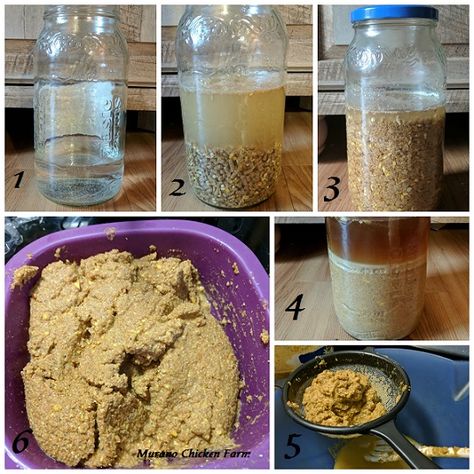 Chicken Feed Storage, Organic Chicken Feed Recipe, Chicken Feed Recipe, Landscaping Farm, Chicken Feed Diy, Homemade Chicken Feed, Fermenting Chicken Feed, Chicken Backyard, Organic Chicken Feed