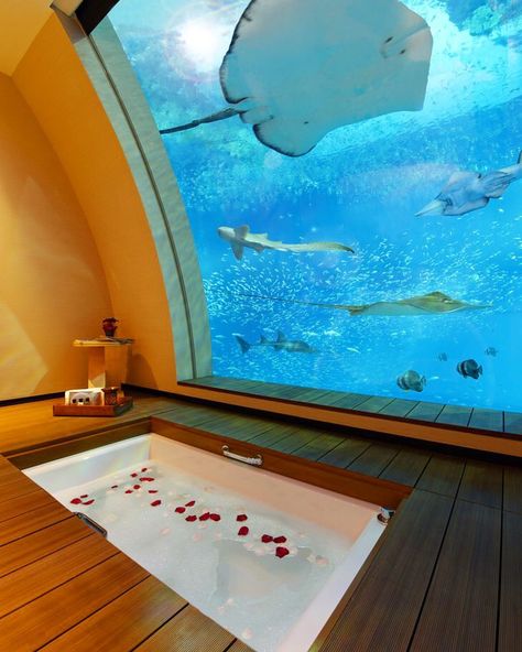 Resorts World Sentosa, Singapore. They have six separate hotels & the photo above is part of the Equarius hotel. Fun for all the family. 🐟🐠 Bathroom Aquarium, Aquarium Mural, Mural Bathroom, Man Home Decor, Underwater Hotel, Aquarium Architecture, Bathroom Bathtub, Spa Ideas, Bath Bathroom