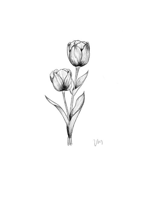 Tulip Tattoo For Men, Tulip Flower Tattoo Designs, Tulip Tattoo Men, Bouquet Of Tulips Tattoo, Tulips Tattoo Design, Oma Tattoo, Tulip Tattoo Design, Tulips Tattoo, Dutch Tattoo