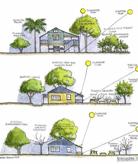 Large Trees, Farm Layout, Forest Plants, Permaculture Gardening, Permaculture Design, Garden Design Plans, Green Architecture, Food Forest, Sun Plants