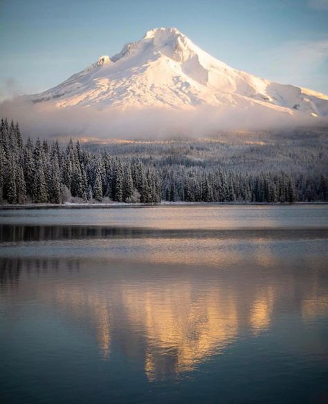 Mt Hood Oregon Photography, Pnw Winter, Mountain Collage, Oregon Snow, Mountain Inspiration, Oregon Winter, Maine Winter, Oregon Mountains, Washington Mountains