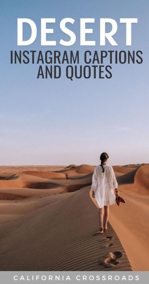 Desert Aesthetic Caption, Caption For Desert Picture, Desert Story Instagram, Desert Quotes Instagram, Desert Instagram Story, Elopement Quotes, Desert Captions For Instagram, Desert Quotes, Light Captions