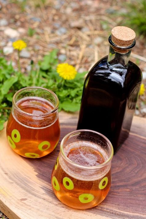 Drinking Vinegar: A Dandelion and Strawberry Shrub Recipe – LearningHerbs Strawberry Shrub, Kvass Recipe, Switchel Recipe, Shrub Recipe, Dandelion Benefits, Drinking Vinegar, Dandelion Jelly, A Dandelion, Sour Taste