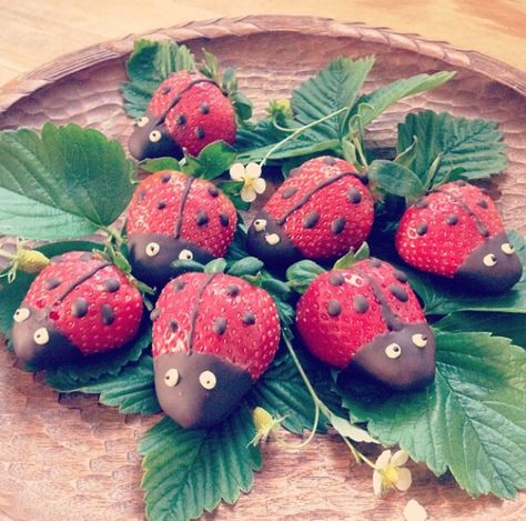 Ladybug - jordbær med chokolade Garden Themed Treats, Ladybug Desserts, Ladybug Strawberries, Bug Themed Food, Strawberry Ladybugs, Ladybug Snacks, Ladybug Food, Butterfly Fruit, Bug Food