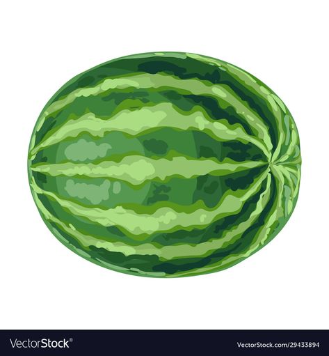 Watermelon Art Illustrations, Watermelon Drawing, Ripe Watermelon, Watermelon Vector, Watermelon Cartoon, Soft Board, Watermelon Summer, Summer Watermelon, Summer Fruit