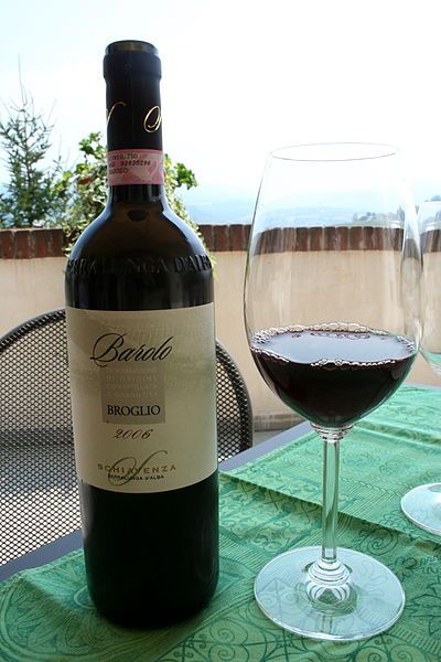 Barolo wine from Piemonte, Italy is my all time favorite wine. Barolo Wine, Wine 101, Best Red Wine, Italy Wine, Wine Delivery, Wine Case, French Wine, Wine Cheese, Bottle Of Wine