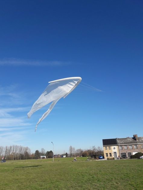 Kite Designs, Kites, Wind Turbine