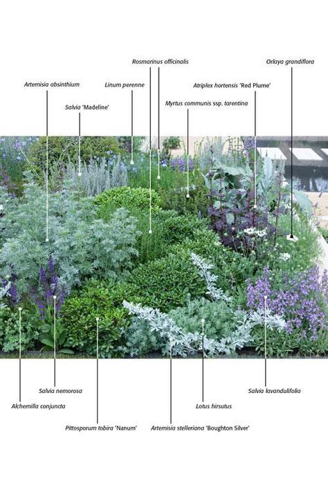 Cottage Garden Design, Garden Design Plans, Have Inspiration, The Secret Garden, Mediterranean Garden, Garden Borders, Plants And Flowers, Garden Bed, Garden Cottage