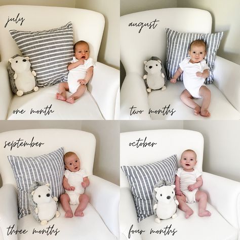 Baby Milestones Ideas, Girl Milestone Ideas, Monthly Newborn Photos, 1month Old Baby Pictures Ideas, Newborn Milestones Pictures, Baby Pictures Month By Month, 1-12 Months Baby Pictures, Boy Milestone Pictures, Month Photos