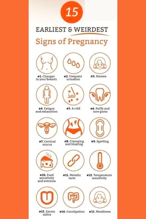 Sign Of Pregnancy, Symptoms Of Pregnancy, Pregnancy Diet Plan, Getting Pregnant Tips, Unique Pregnancy Announcement, Pregnancy Timeline, Pregnancy Facts, Mother Care, Healthy Pregnancy Tips