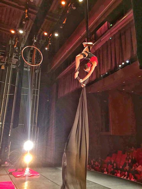 Competencia nacional de danza aérea Aerial Silks Circus, Arial Silk Aesthetic, Aerialist Aesthetic, Circus Silks, Arial Silks, Aerial Gymnastics, Silk Dancing, Circus Aesthetic, Trapeze Artist