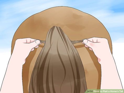 How to Plait a Horse's Tail (with Pictures) - wikiHow Horse Mane Braids, Horse Hair Braiding, Horse Braiding, Horse Competition, Tail Braids, Horse Trials, Horse Riding Tips, Horse Mane, Horse Anatomy