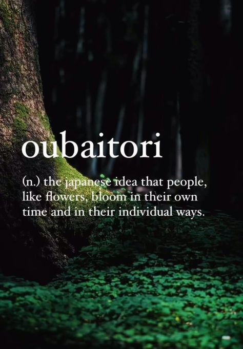 Unique Definitions, Nature Words, Unique Words Definitions, Words That Describe Feelings, Japanese Quotes, Uncommon Words, Weird Words, Unusual Words, Rare Words