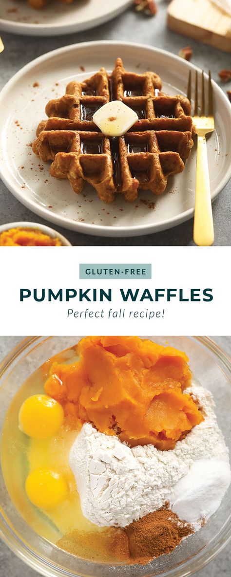 Pumpkin Waffles Healthy, Gluten Free Pumpkin Waffles, Gluten Free Waffles Recipe, Pumpkin Gluten Free, Paleo Pumpkin Waffles, Gf Waffles, Dairy Free Waffles, Pumpkin Waffles Recipe, Gluten Free Pumpkin Recipes