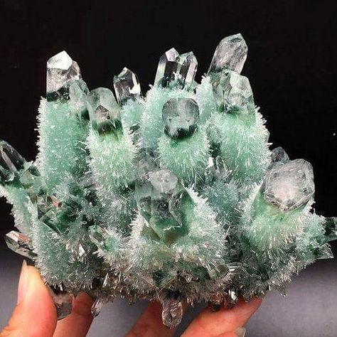 Green Phantom Quartz, Essential Accessories, Rock Minerals, Ice Crystals, Pretty Rocks, Cool Rocks, Phantom Quartz, Beautiful Rocks, Mineral Stone