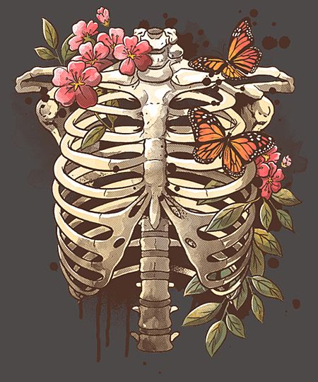 Rib Cage Drawing, Skeleton Flower, Skeleton Drawings, Minions Wallpaper, 4 Tattoo, Skeleton Art, Butterfly Drawing, A Skeleton, Skeleton Halloween