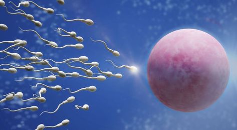 Men Fertility, Sperm Quotes, Sperm Donor Single Mom, Blocked Fallopian Tubes, Low Sperm Count, Sperm Health, Sperm Count, Reactive Oxygen Species, Endocrine Disruptors