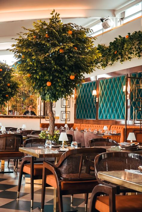 The Orangery by Sapna Restaurant Review - ET Food Voyage Orange Coffee Shop, Orange Restaurant, Indian Food Catering, Lamb Korma, Onion Bhaji, Pakistani Dishes, The Orangery, Chicken Karahi, London Restaurant