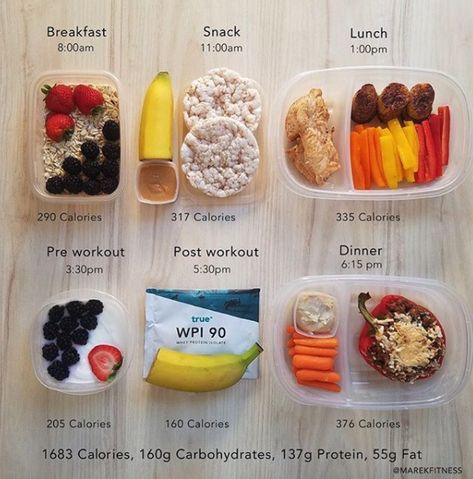 Low Calorie & Carb Meal Prep Office Food, Menu Sarapan Sehat, Low Carb Food, Motivasi Diet, Resep Smoothie, All Ideas, Low Carb Meal Prep, Resep Diet, High Pictures