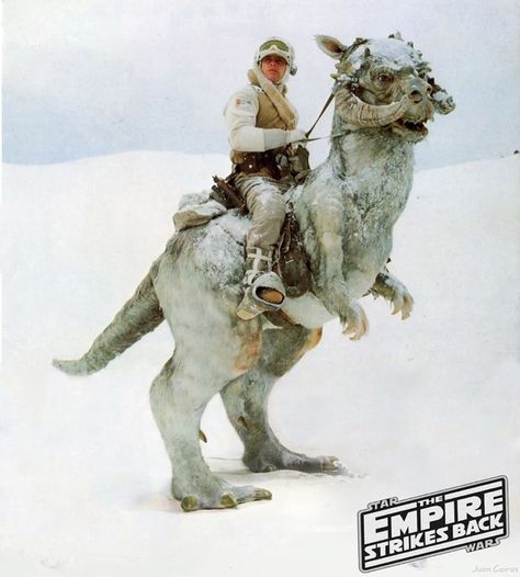 Luke on tauntaun Luke Skywalker Hoth, Star Wars Hoth, Classic Star Wars, Services Website, Star Wars 1977, Empire Strikes Back, Mark Hamill, Original Movie Posters, The Empire Strikes Back