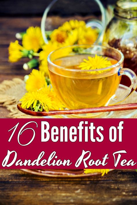 Benefits Of Dandelion, Dandelion Benefits, Dandelion Root Tea, Tomato Nutrition, Calendula Benefits, Fruit Health Benefits, Dandelion Tea, Matcha Benefits, Lemon Benefits