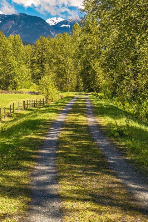 Long Way Home, Back Road, Walking Trails, Dark Photography, Pretty Places, The 8, Country Life, Farm Life, The Great Outdoors