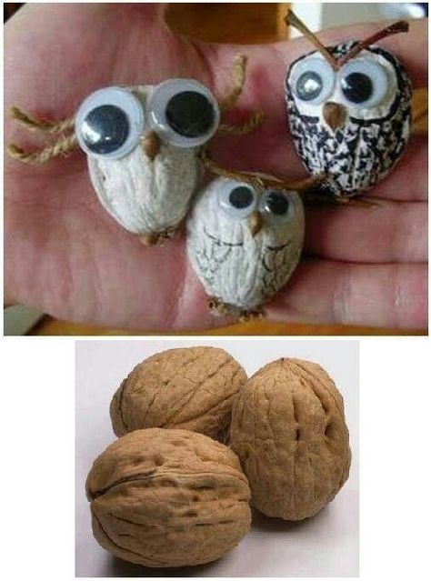 Peeps Crafts, Cheap Ornaments, Walnut Shell Crafts, Scrap Wood Crafts, Mouse Crafts, Shell Crafts Diy, Cones Crafts, Animal Crafts For Kids, Walnut Shell