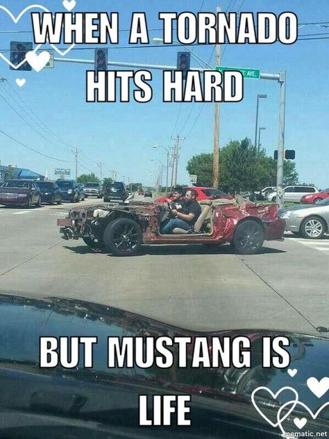 This guy lost his house & everything else in a tornado, but his Mustang still drives ! Funny Truck Quotes, Funny Car Quotes, Ford Jokes, Wojskowy Humor, Truck Memes, Farm Humor, Car Jokes, Funny Car Memes, Country Jokes