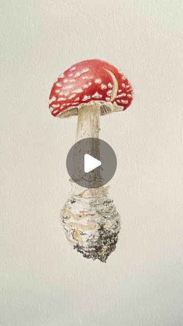 Kristine Rapohina on Instagram: "August Free Tutorial is here 🍄 - Mushroom - Fly Agaric . Leave a comment Mushroom and I will give you information to get it 🥰🍄🥰 . . . . . #artvideo #arttutorial #arttutorials #artpainting #paintingvideo #watercolorvideo #watercolorvideos #watercolortutorial #watercolorprocess #paintingeveryday #paintingdaily #paintingoftheday #artcreation" Watercolor Mushroom, Fly Agaric, Watercolor Video, August 21, Painting Videos, Watercolour Tutorials, Free Tutorial, Art Videos, Art Tutorials