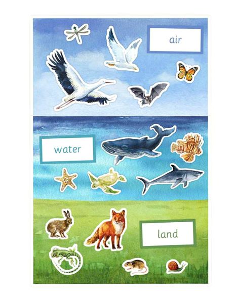 Studio Montessori Land Air Water Shadow Activities, 1st Grade Crafts, Homeschool Games, Transportation Worksheet, Vertebrates And Invertebrates, Montessori Printables, Geography Activities, Rainy Day Fun, Montessori Toddler Activities