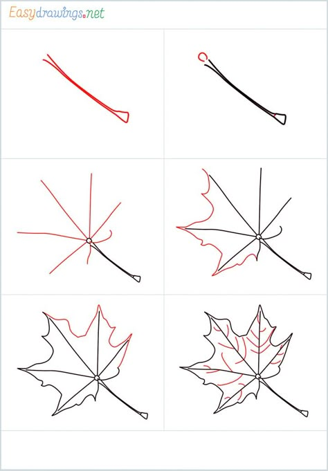 How to draw a fall leaf step by step - Easydrawings.net Autumn Drawing Easy, Easy Leaf Drawing, Leaf Drawing Easy, Maple Leaf Drawing, Fall Leaves Drawing, 2024 Journal, Fall Drawings, Waterfall Paintings, Drawing Lesson