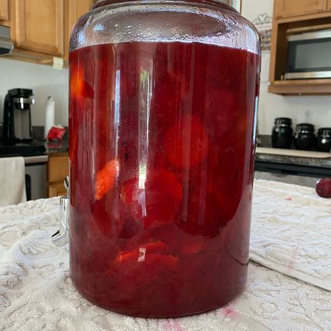 Tangy Plum Liqueur Plum Infused Vodka, Plum Alcohol Recipes, Plum Liquor Recipes, Plum Liqueur Recipe, Plum Cordial Recipe, Dear Alcohol, Infused Spirits, Types Of Plums, Homemade Liqueur