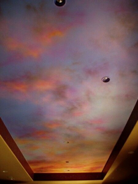 G.go murals Painted Vaulted Ceiling Bedroom, Ceiling Mural Ideas, Ceiling Mural, Awesome Inventions, Cloud Ceiling, Sky Ceiling, Ceiling Painting, Creative Wall Painting, Ceiling Murals