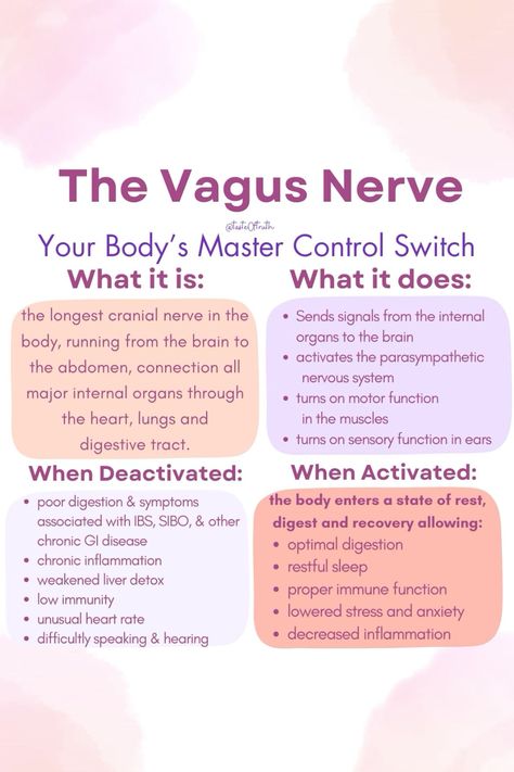 Tune in to hear about the nervous system, learn the importance of forgiveness, compassion and tips for activating the vagus nerve! #HealthTips #FitnessTips #SelfCare #NutritionTips #Wellness #HealthyLiving #FitLife #HealthyLifestyle What Is The Vagus Nerve, Vagus Nerve Reset, Vagus Nerve Symptoms, Healing Nervous System, Vagus Nerve Exercise, Stimulate Vagus Nerve, Vagus Nerve Healing, Vegas Nerve, Vagus Nerve Damage