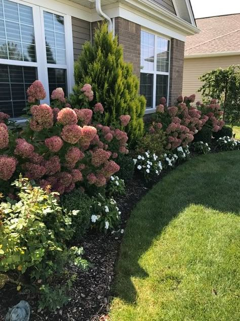 Front Yard Landscaping Year Round, Landscaping Ideas With Hydrangeas, Utah Front Yard Landscaping, Landscaping For Ranch Style Homes, Walk Way Landscaping, Utah Landscape Ideas, Cottage Landscape Ideas, Landscape Front Of House, Landscaping Front Of House