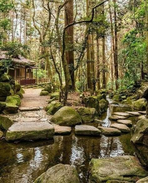 Forest Garden, Cabin In The Woods, Camp Half Blood, Half Blood, Cabins In The Woods, Nature Aesthetic, Pretty Places, Fantasy Landscape, Dream Garden