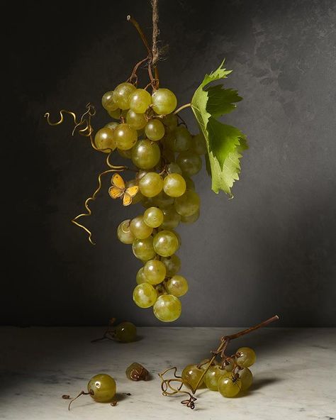 Anna Leroy - Personal Work - KG Talents Management @karinegarnier #photography #stilllife #softcolors #art #grapes #fruits #butterfly#annaleroy #KarineGarnier #KGagency Grape Reference Photo, Grape Photography, Grapes Photography, Grapes Still Life, Chiaroscuro Photography, Black Sherwani, Dutch Still Life, Fruit Still Life, Photo Lessons