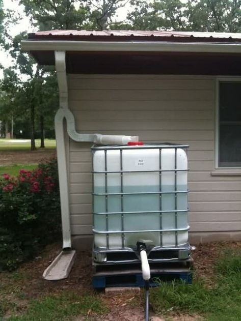 Rain Water Collection Diy, Rain Barrel System, Water Collection System, Water Catchment, Rain Harvesting, Rainwater Harvesting System, House Ranch, Rain Collection, Water Collection