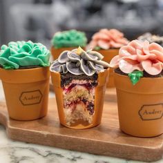 Flower Pot Cake, Deco Cupcake, Pot Cakes, Beautiful Cupcakes, Cupcake Designs, Flower Cupcakes, Cupcake Frosting, Blueberry Cheesecake, Cupcake Cake